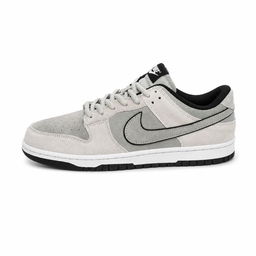 Nike Dunk Sneakers