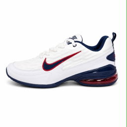 Nike Air Max Shoes
