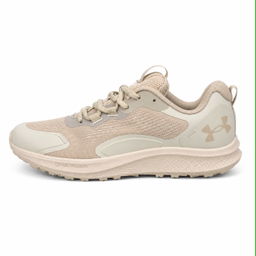 Under Armour Running Shoes