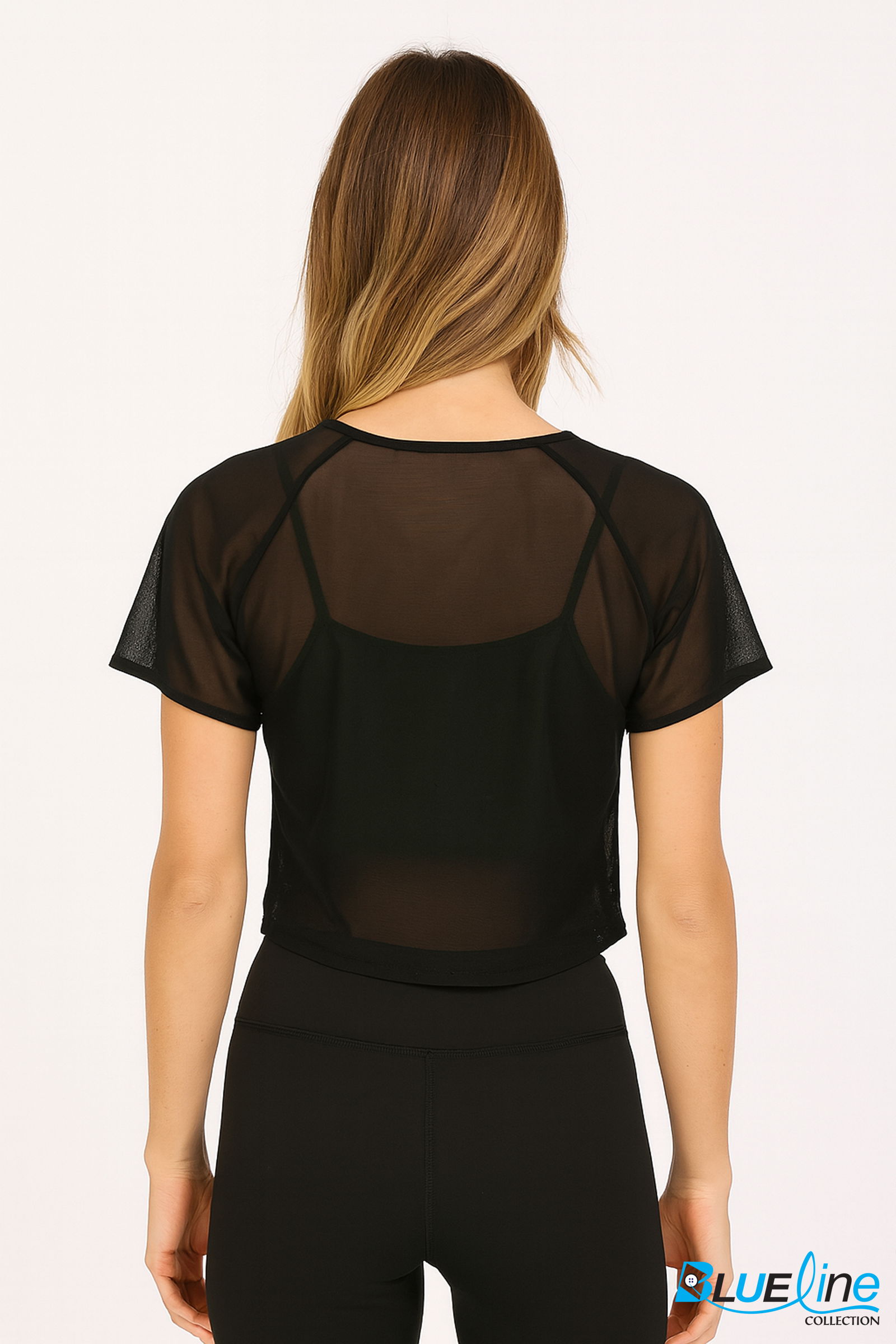SHEER MESH CROP TOP