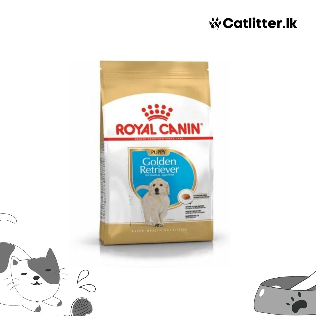 Golden Retriever Puppy Royal Canin Flipkart Royal Canin Dog Food Buy Royal  Canin Dog Food Online