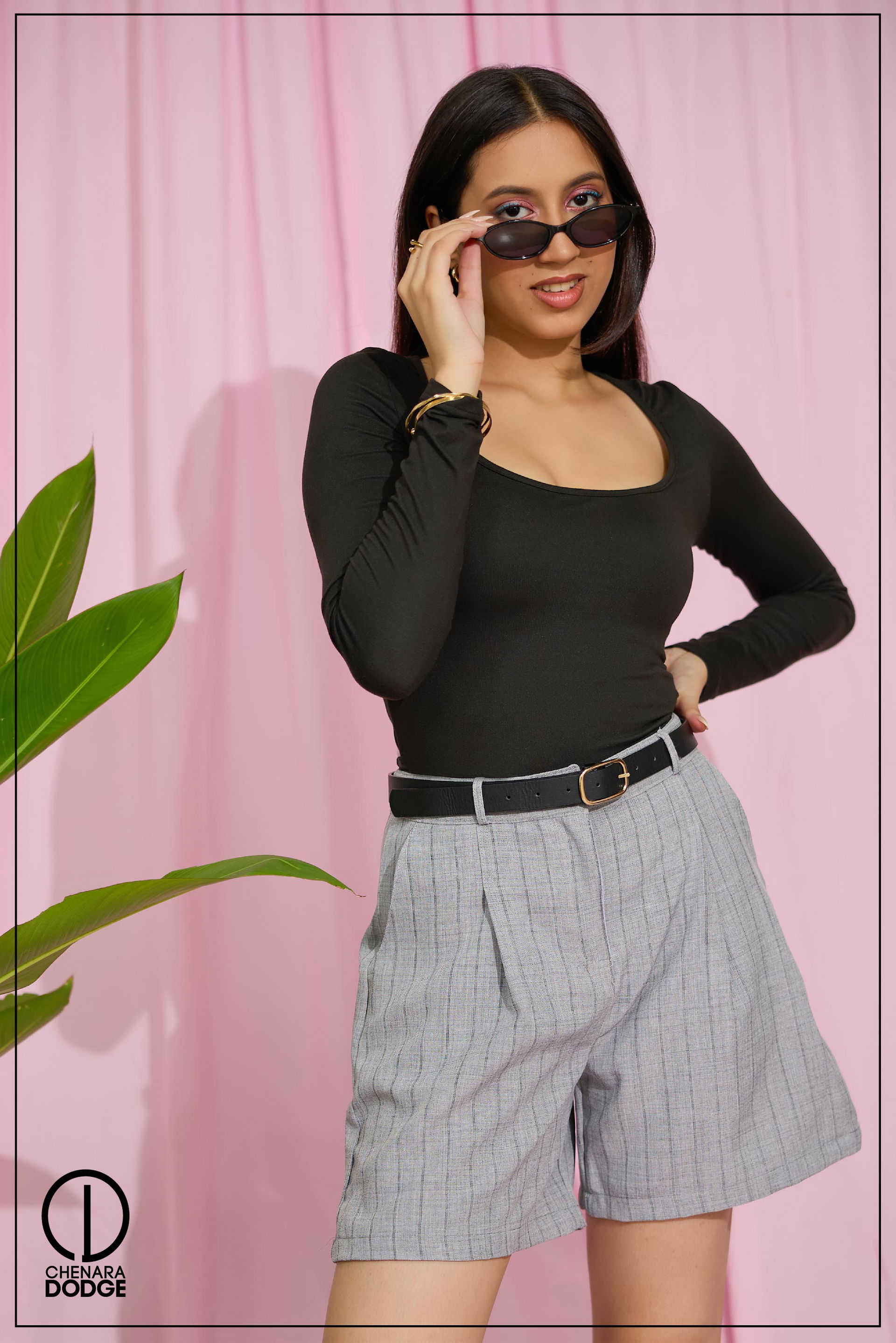 Light Gray Stripe