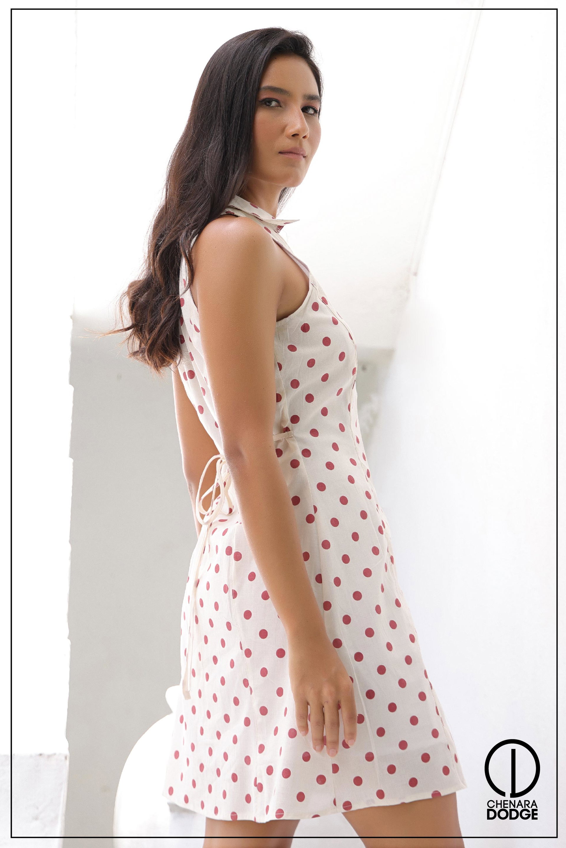 WILLA BUTTON UP MINI DRESS