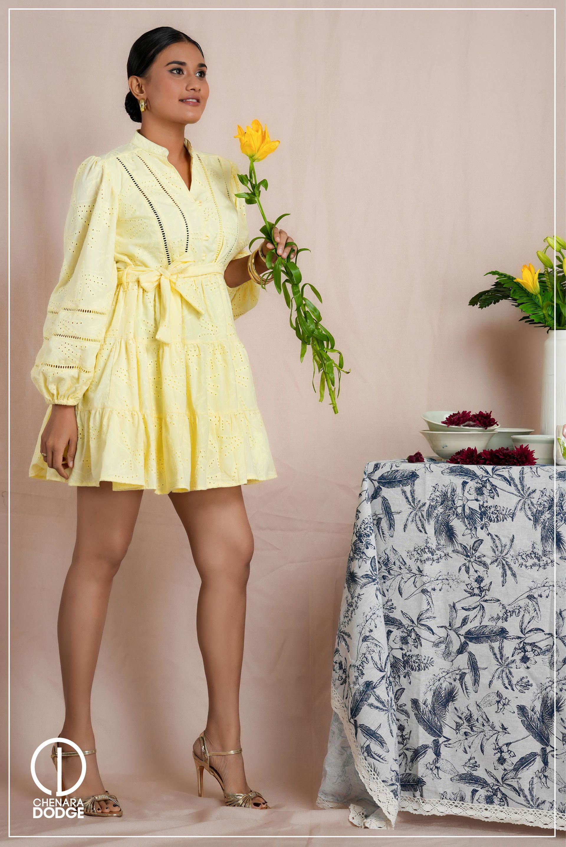 JENNIE LONG SLEEVE MINI DRESS