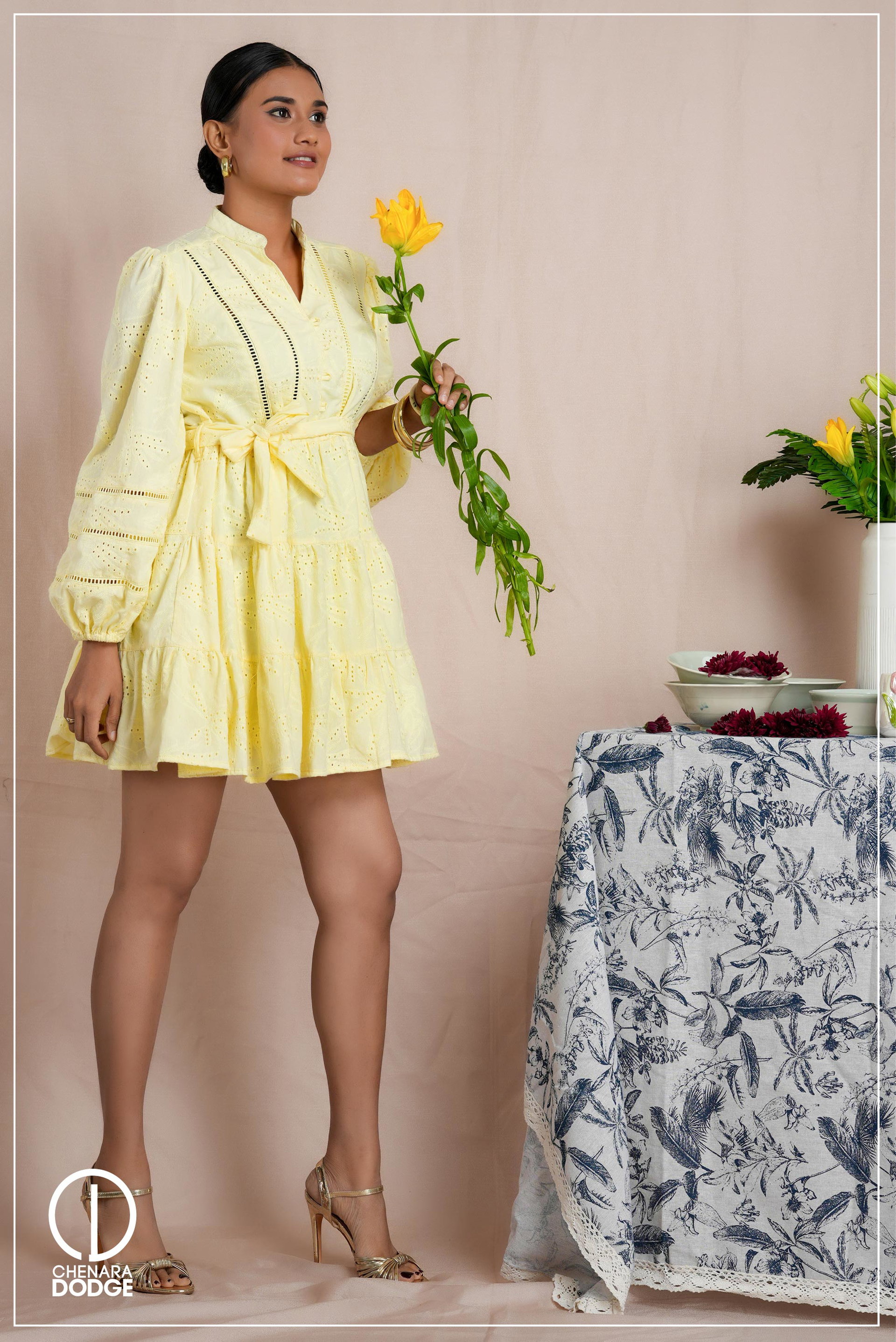 JENNIE LONG SLEEVE MINI DRESS