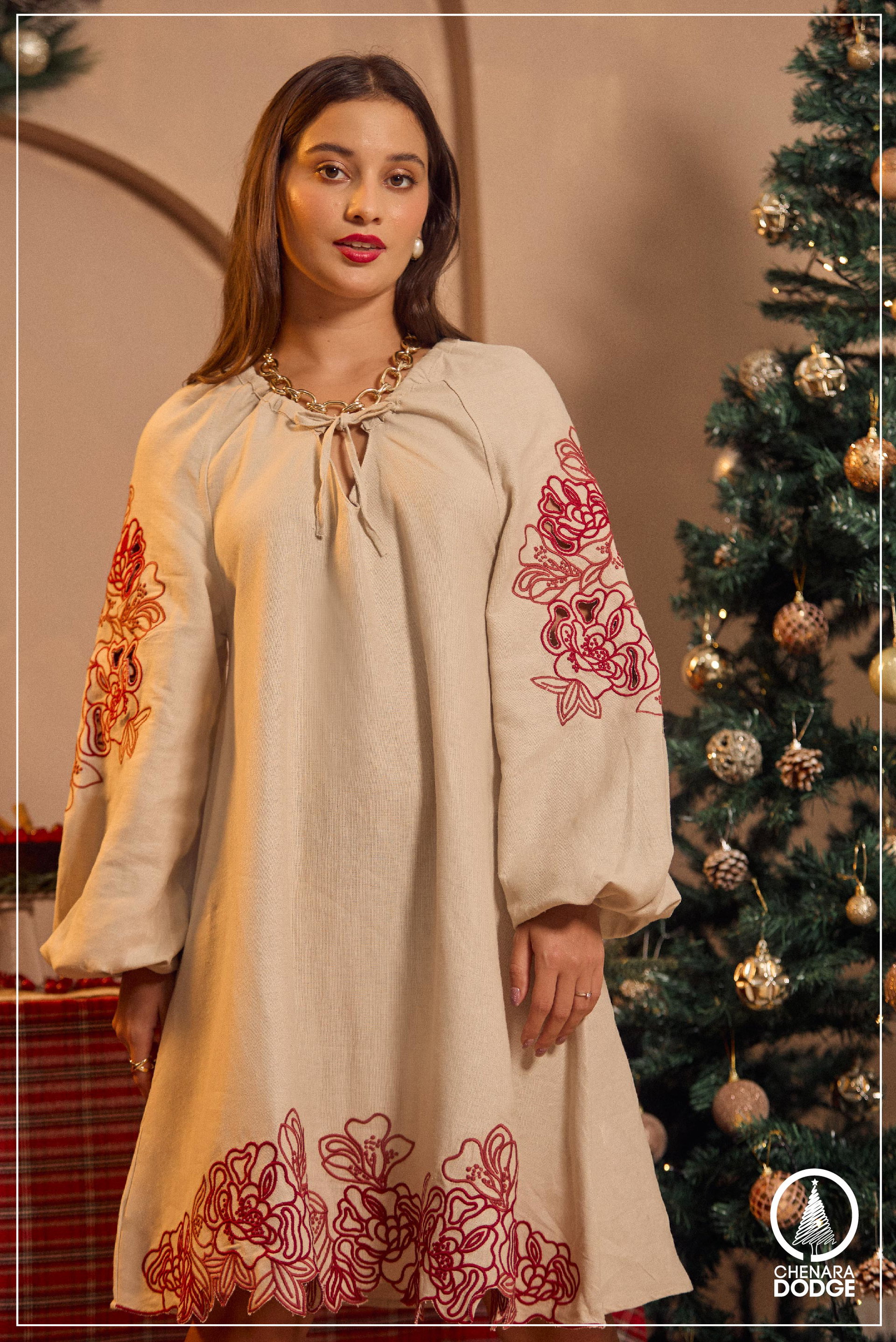 JESSE EMBROIDED  MINI DRESS