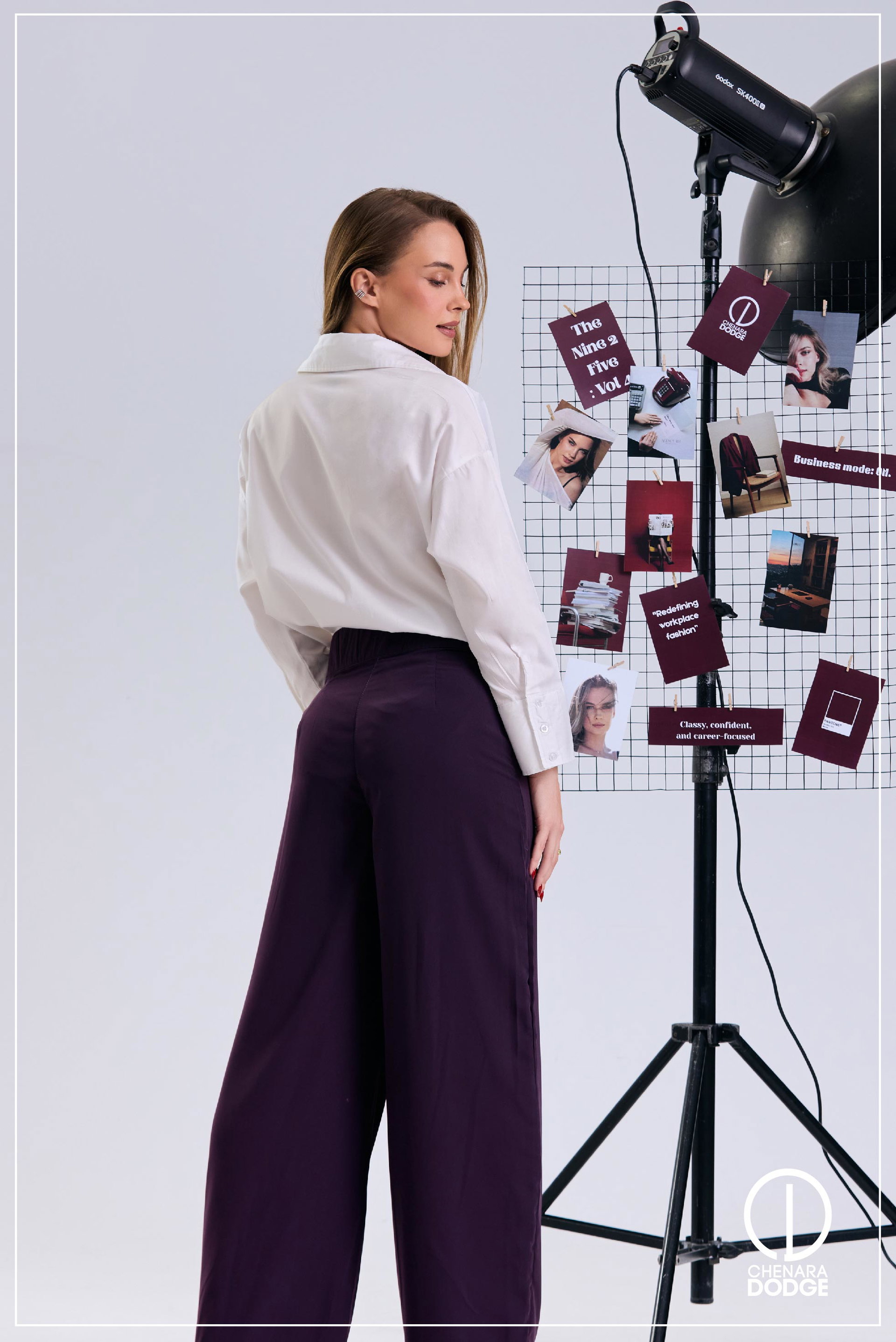 ZARA HIGH WAIST PANT