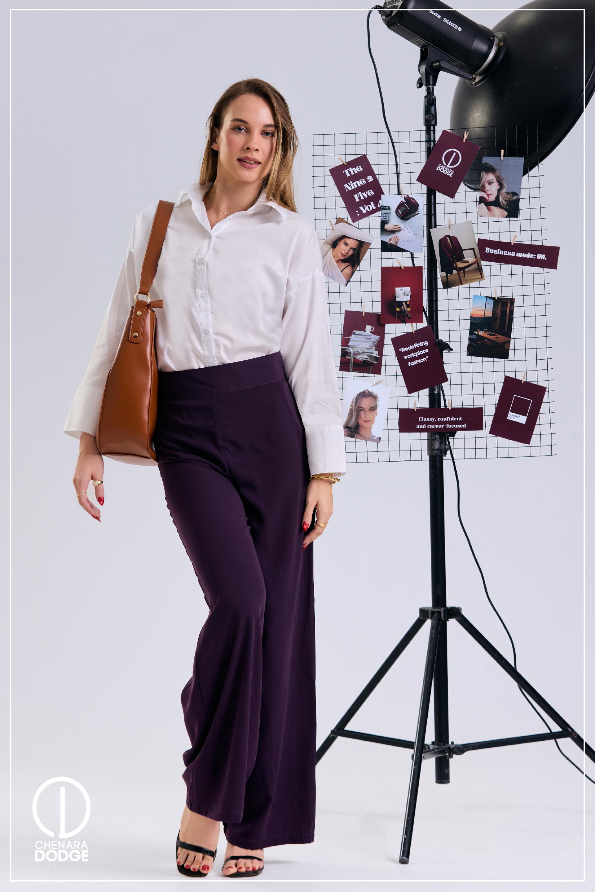 ZARA HIGH WAIST PANT