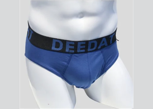 Briefs