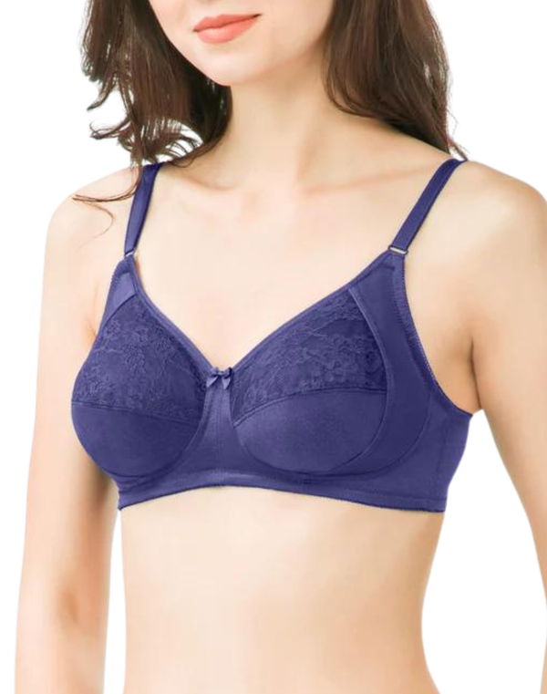Amante Saree Shaper Bra