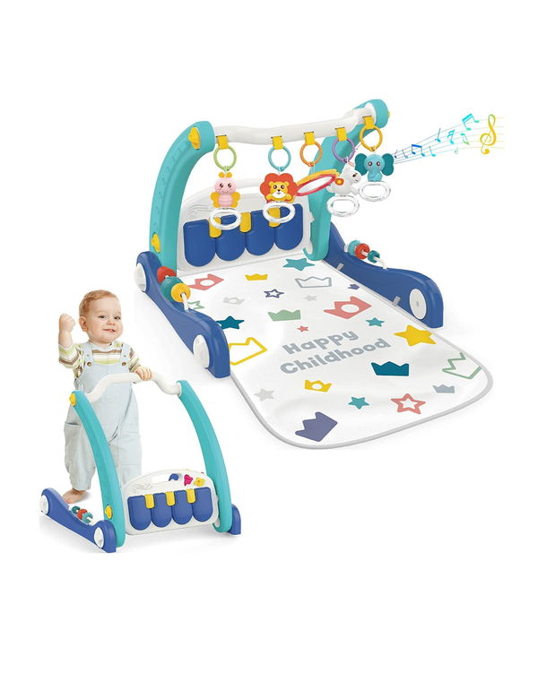Baby Walker Play Gym