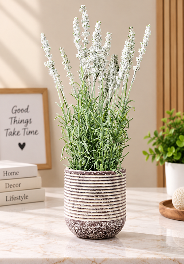 HOME & ME Artificial Plant Ornament