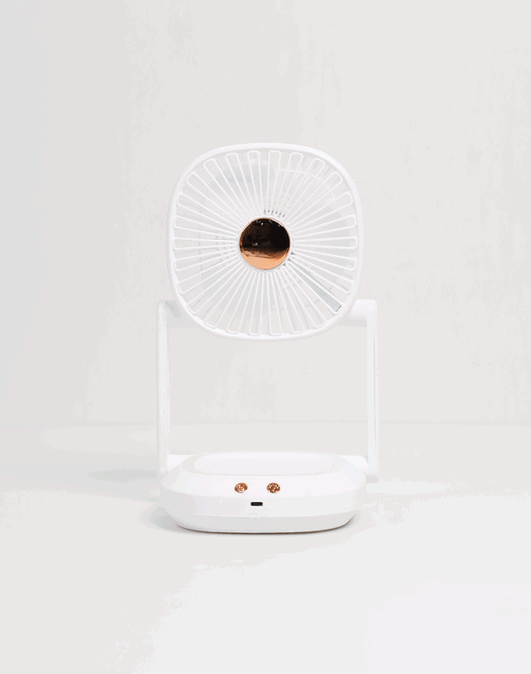 HOME & ME Plastic Table Fan