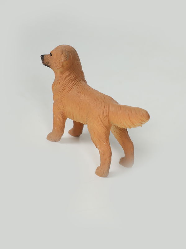My Pet Dogs 3+