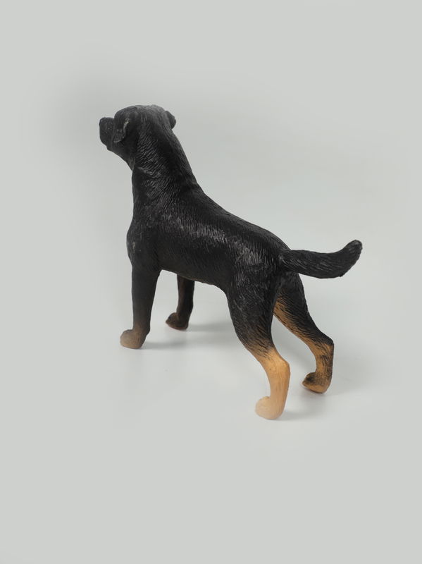 My Pet Dogs 3+