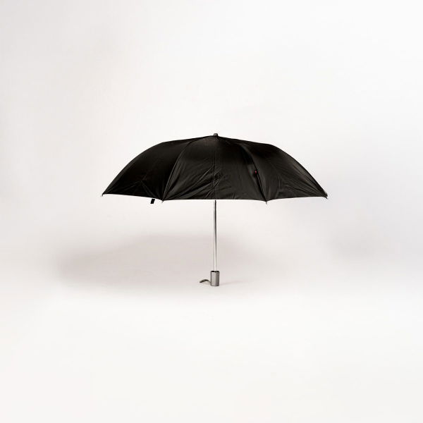 Women's 2 Folding Umbrella Assorted