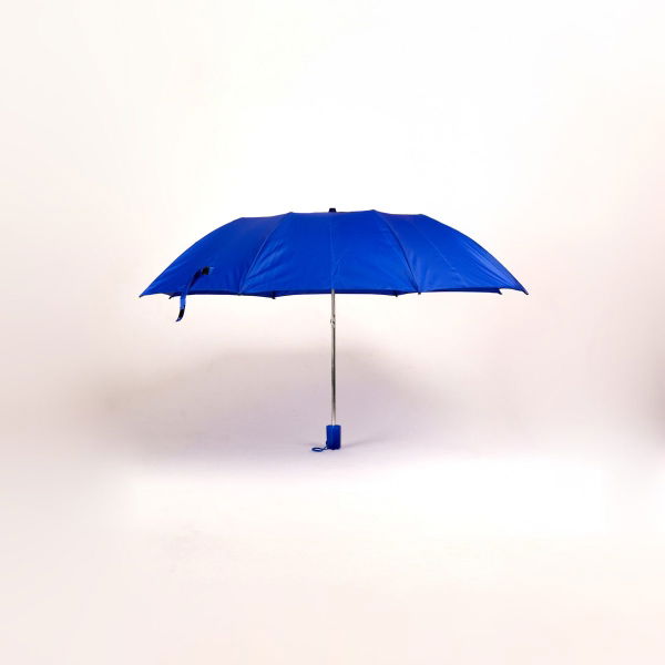 Women's 2 Folding Umbrella Assorted