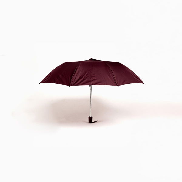 Women's 2 Folding Umbrella Assorted