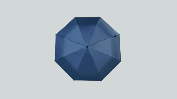 Women's 3 Folding Umbrella Assorted