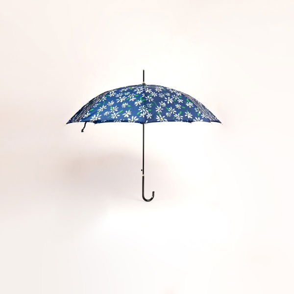 Women's Single Folding Umbrella Assorted