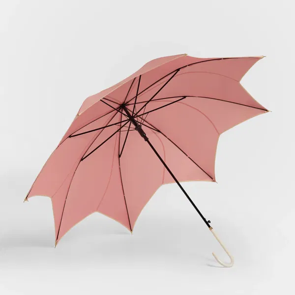 Women's Single Folding Umbrella Assorted