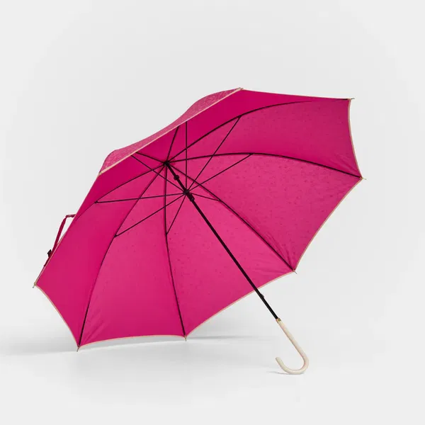 Women's Single Folding Umbrella Assorted